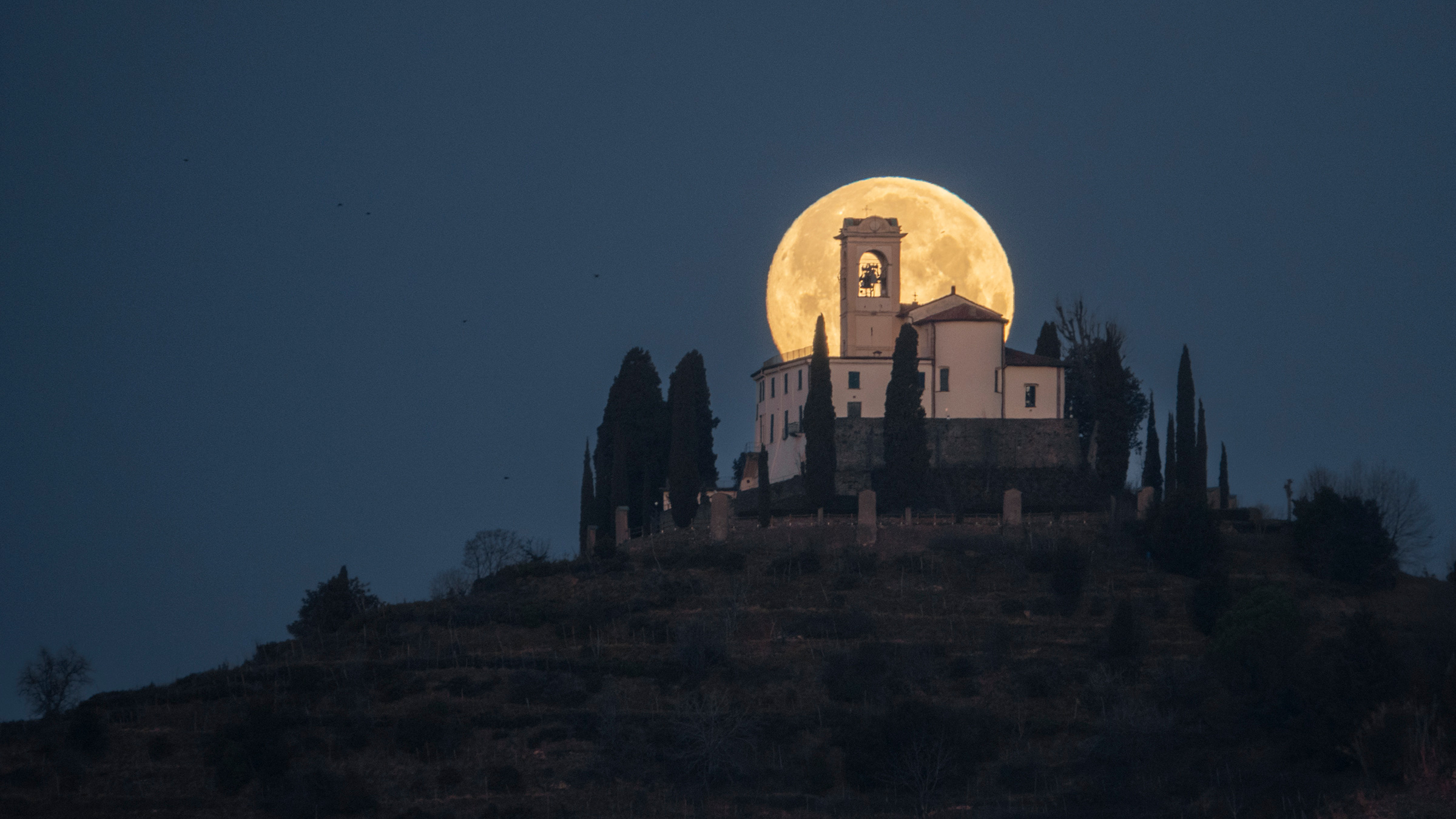 Daniele_Bonfanti_web01