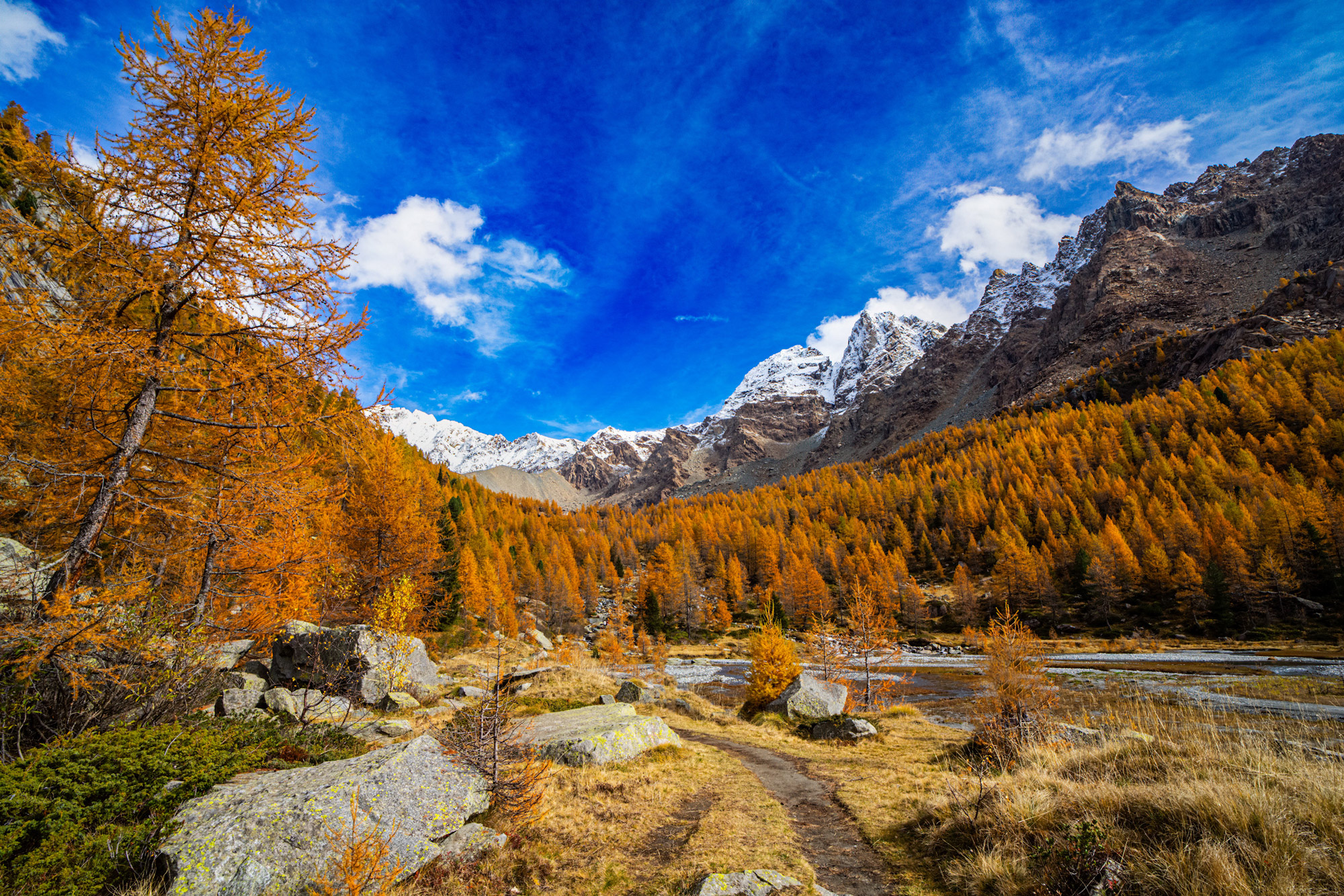 Daniele_Bonfanti_web40
