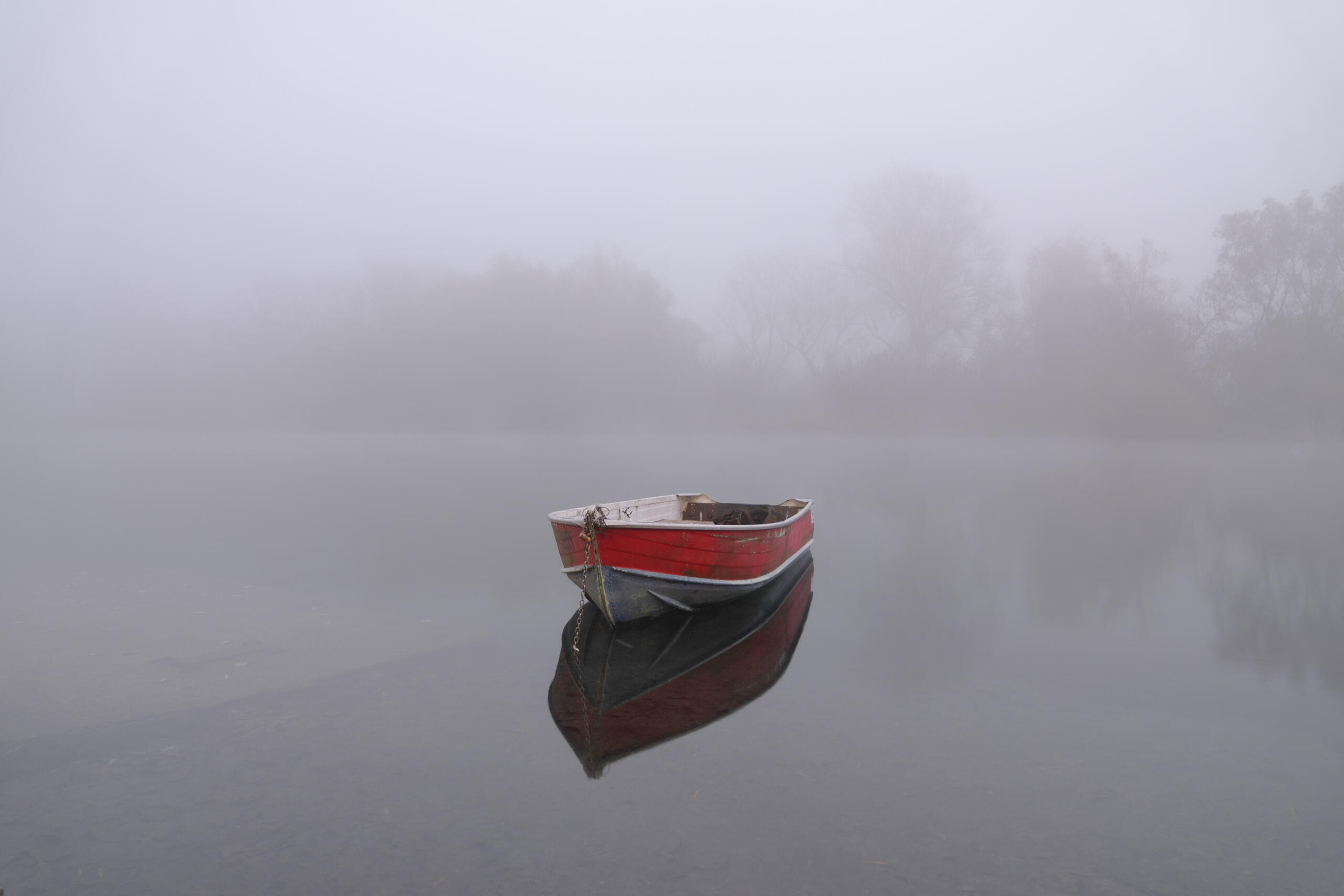 nebbia6